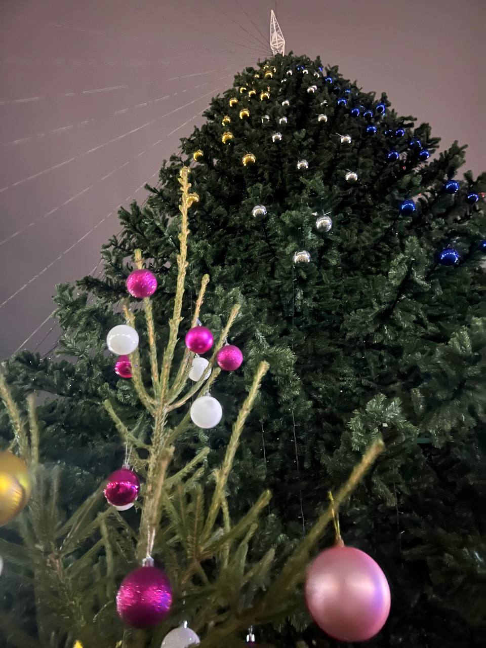 У Керчі встановили ялинку з українською символікою: окупанти казяться від злості (фото)