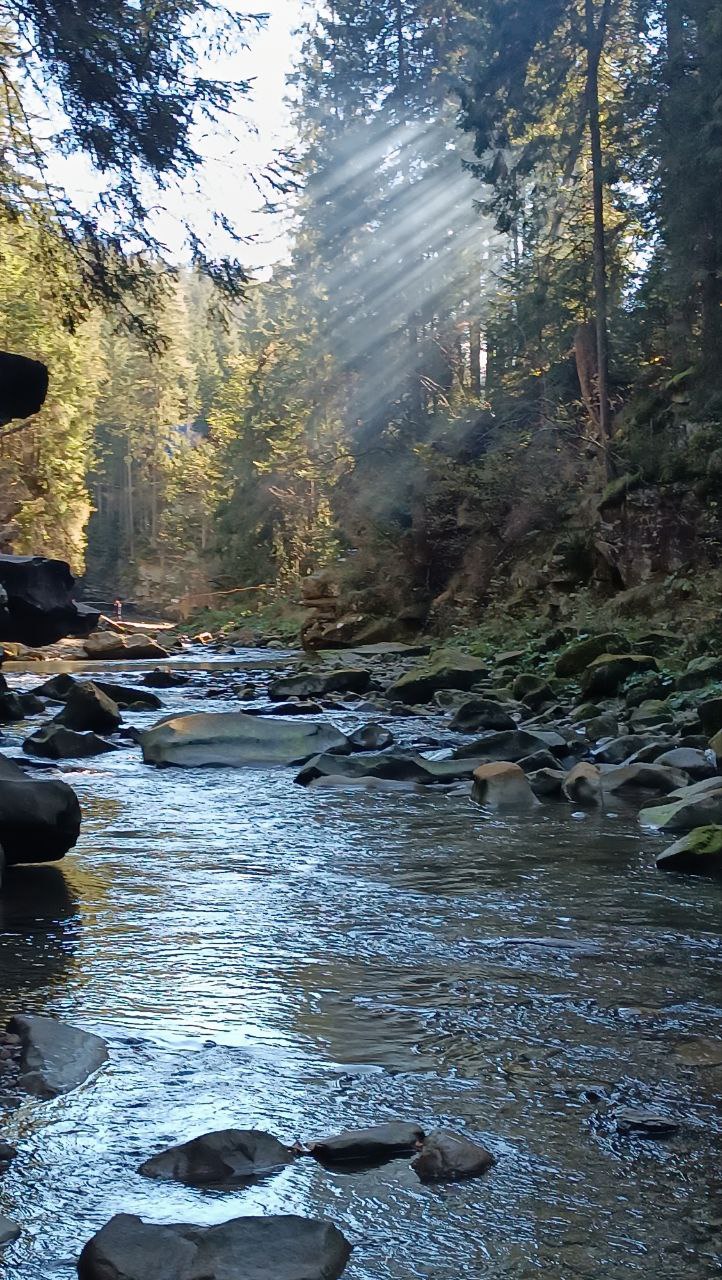 Краса гір та комфорт: де відпочити та що подивитися у Микуличині