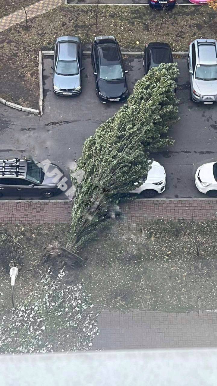 Разбитые машины и вырванные деревья. Смотрите, к чему приводит сильный ветер в Киеве: фото и видео