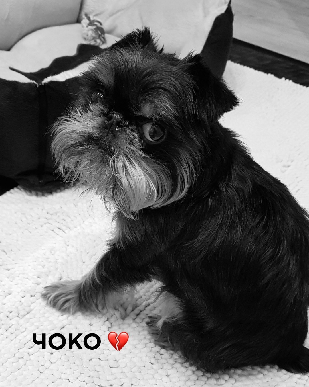 "Мій перший і особливий друг": Ектор з "МастерШеф" повідомив про горе в сім’ї