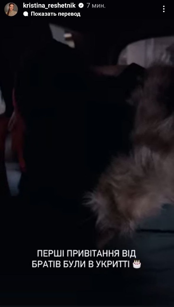 Реалії життя в Україні. Дружина Решетніка розчулила до сліз, як вітали наймолодшого сина в укритті