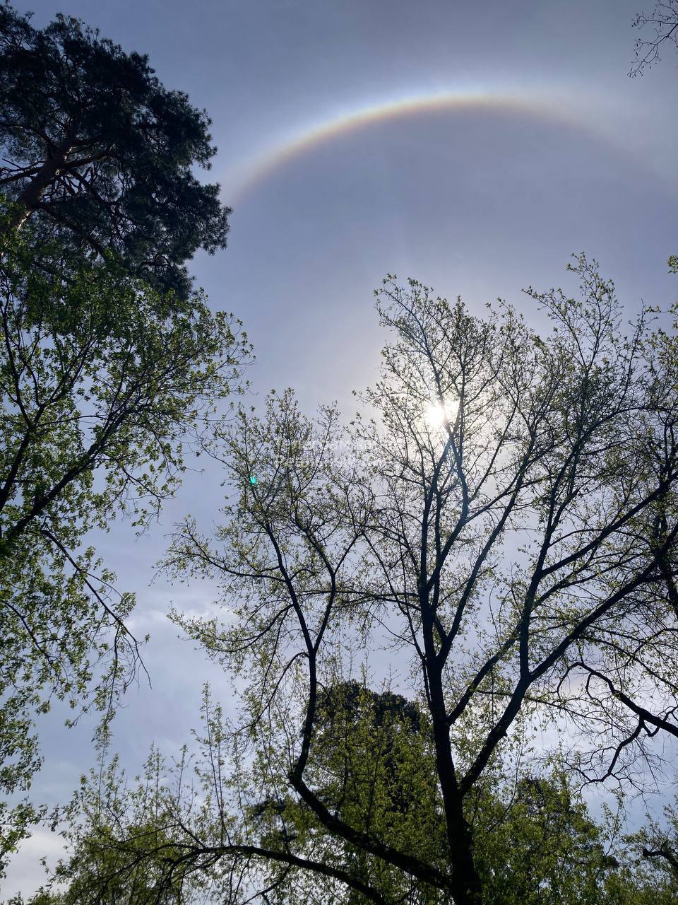 У небі над Києвом помітили унікальне атмосферне явище: що це та який вигляд має (фото та відео)