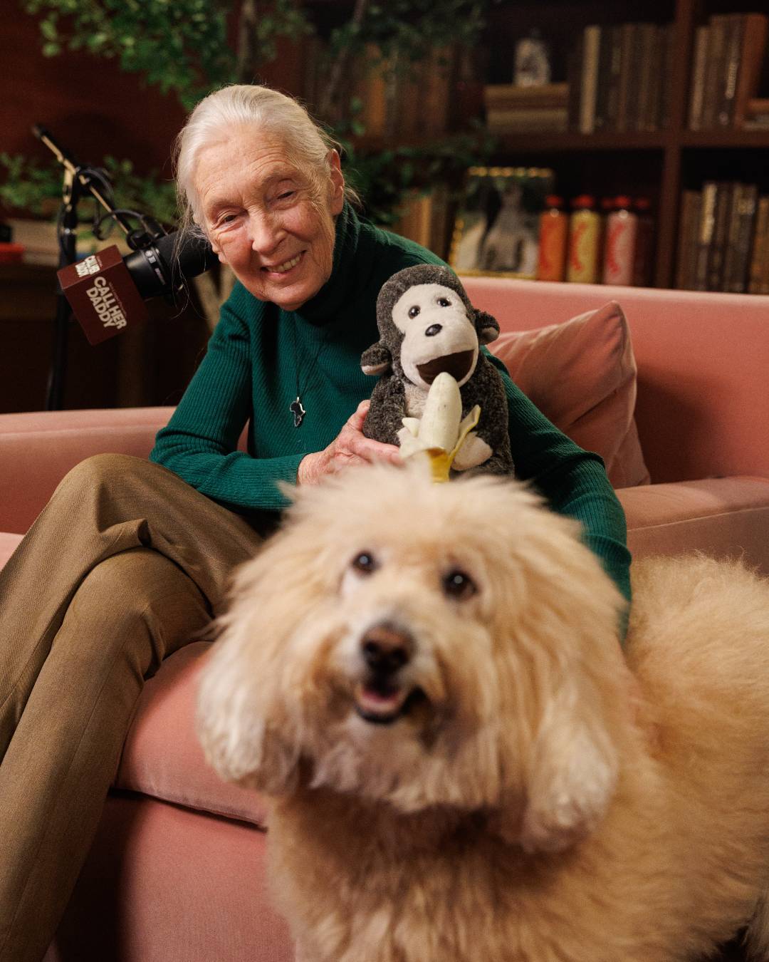 Померла Джейн Гудолл - вчена, яка змінила уявлення світу про шимпанзе