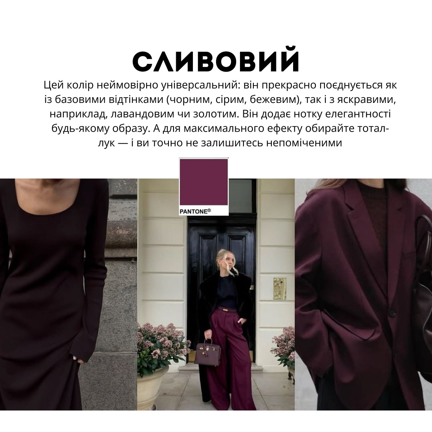 Не тільки Mocha Mousse: Андре Тан назвав найактуальніші кольори зими 2025