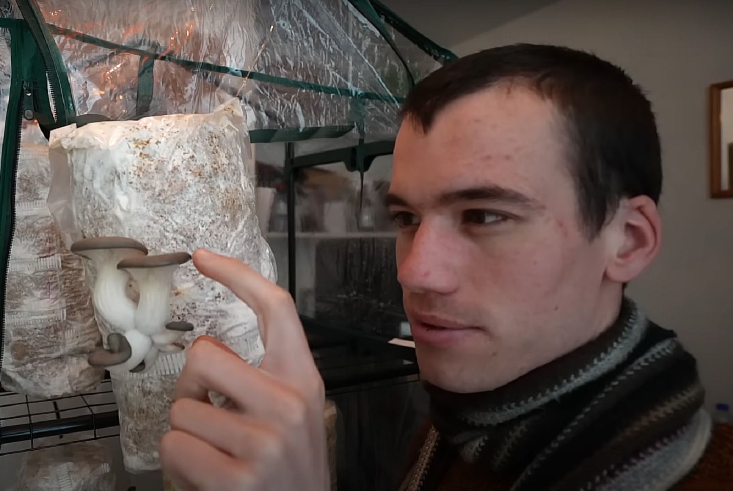 Як виростити багатий урожай грибів взимку у власному домі