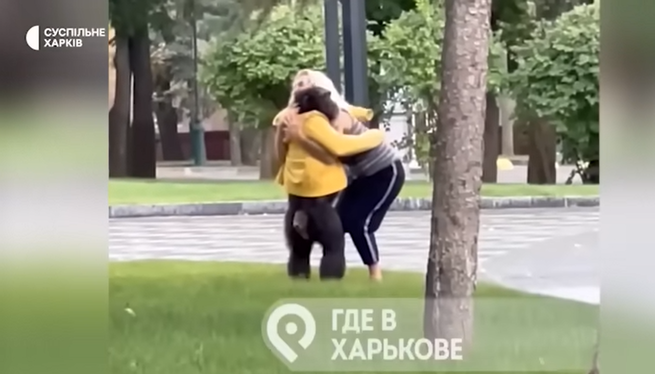 У Харкові на вулиці гуляв шимпанзе, який втік з зоопарку: тварину повернули на велосипеді (відео)