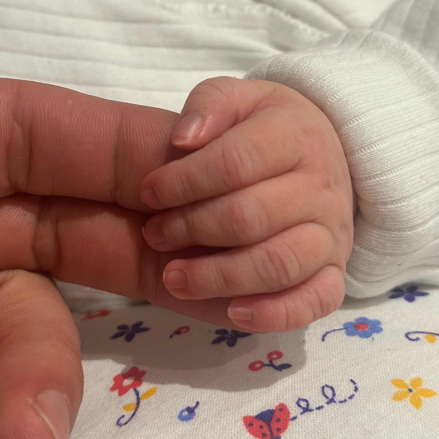 Евгений Синельников во второй раз стал отцом и показал новорожденную дочь (фото)