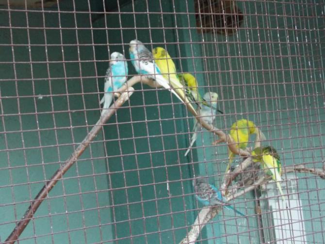 Вода с Каховской ГЭС затопила зоопарк "Казкова діброва" (видео)