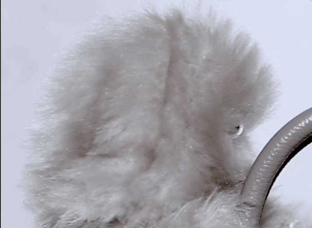 Minecraft на лампочці та грибні батареї: 11 найнезвичайніших і найвражаючих технологій 2025 року