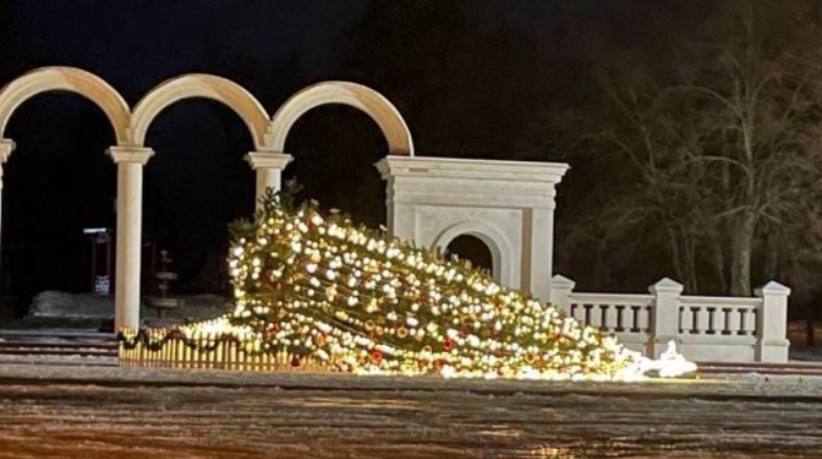 Ураганный ветер повалил новогодние елки в разных городах Украины (видео и фото)