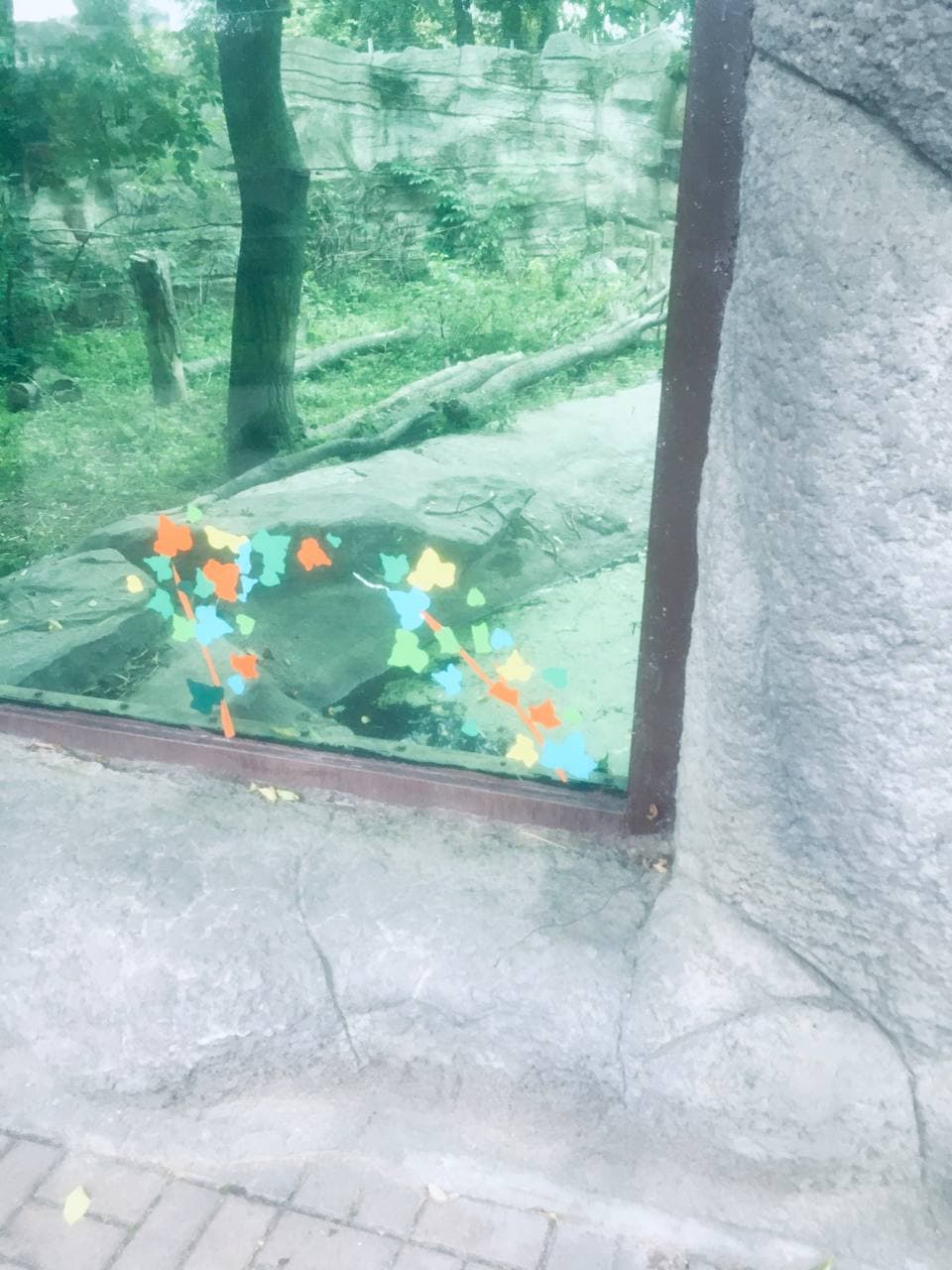 В киевском зоопарке треснувшее стекло в вольере с медведями заклеили аппликацией (фото)