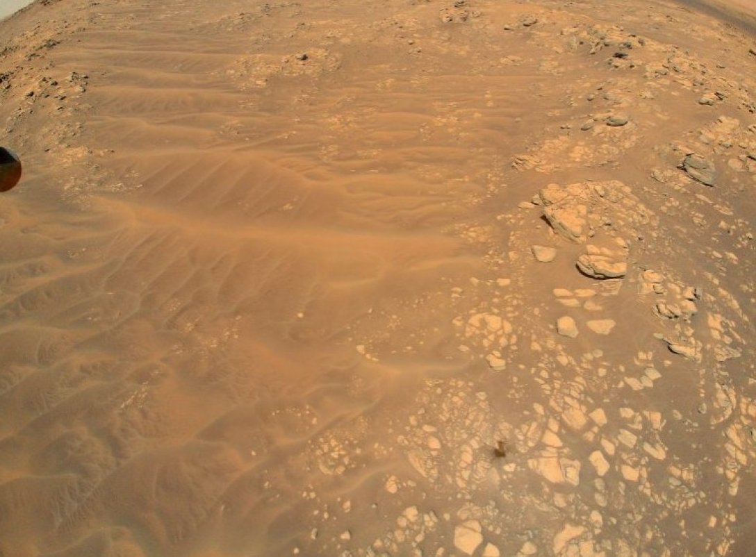 Космічне садівництво: вчені розповіли, які рослини зможуть вирощувати на Марсі