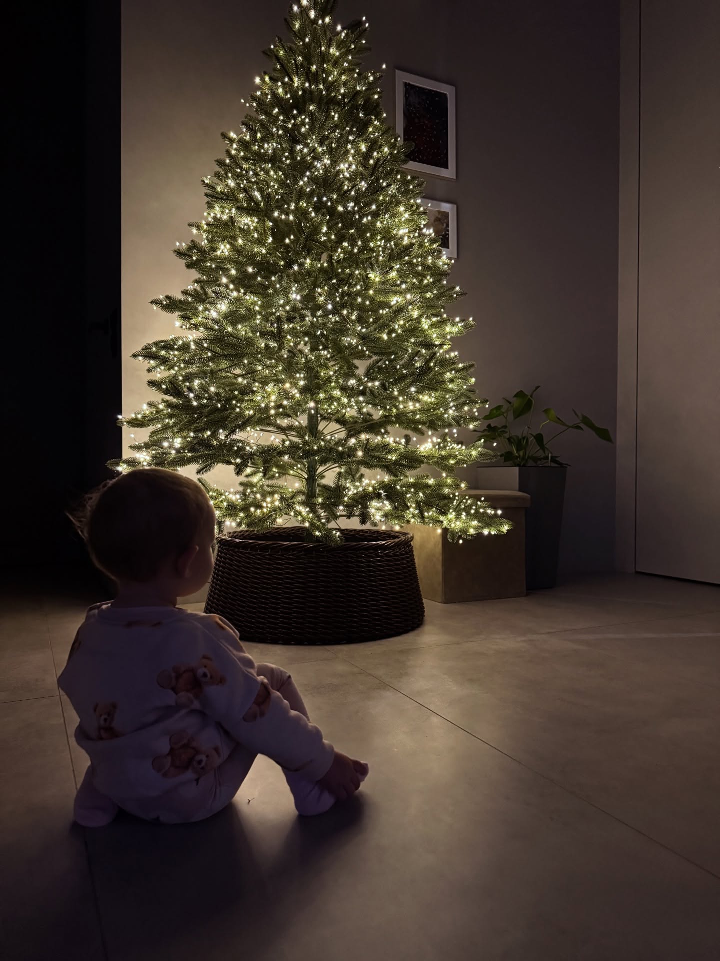 Як Дорофєєва, Усики та інші українські зірки вбрали свої ялинки