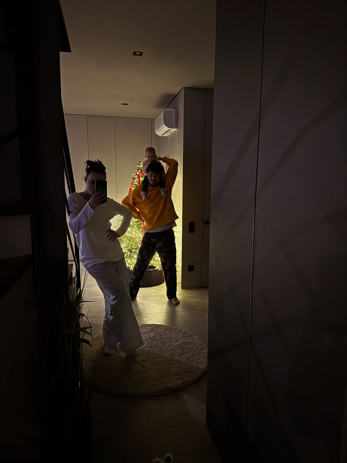 Як Дорофєєва, Усики та інші українські зірки вбрали свої ялинки