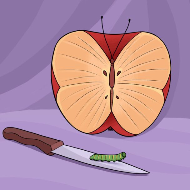 Цей короткий тест розкриє ваш найбільший життєвий страх у житті