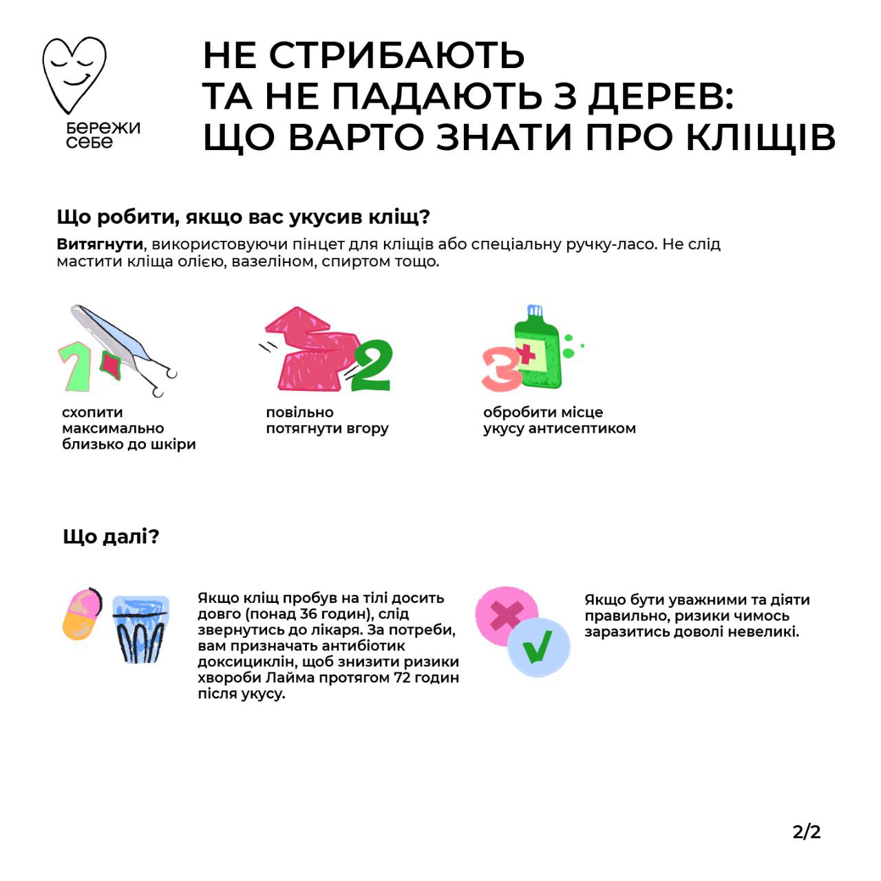 Обережно, кліщі! Що потрібно знати про цих комах усім українцям