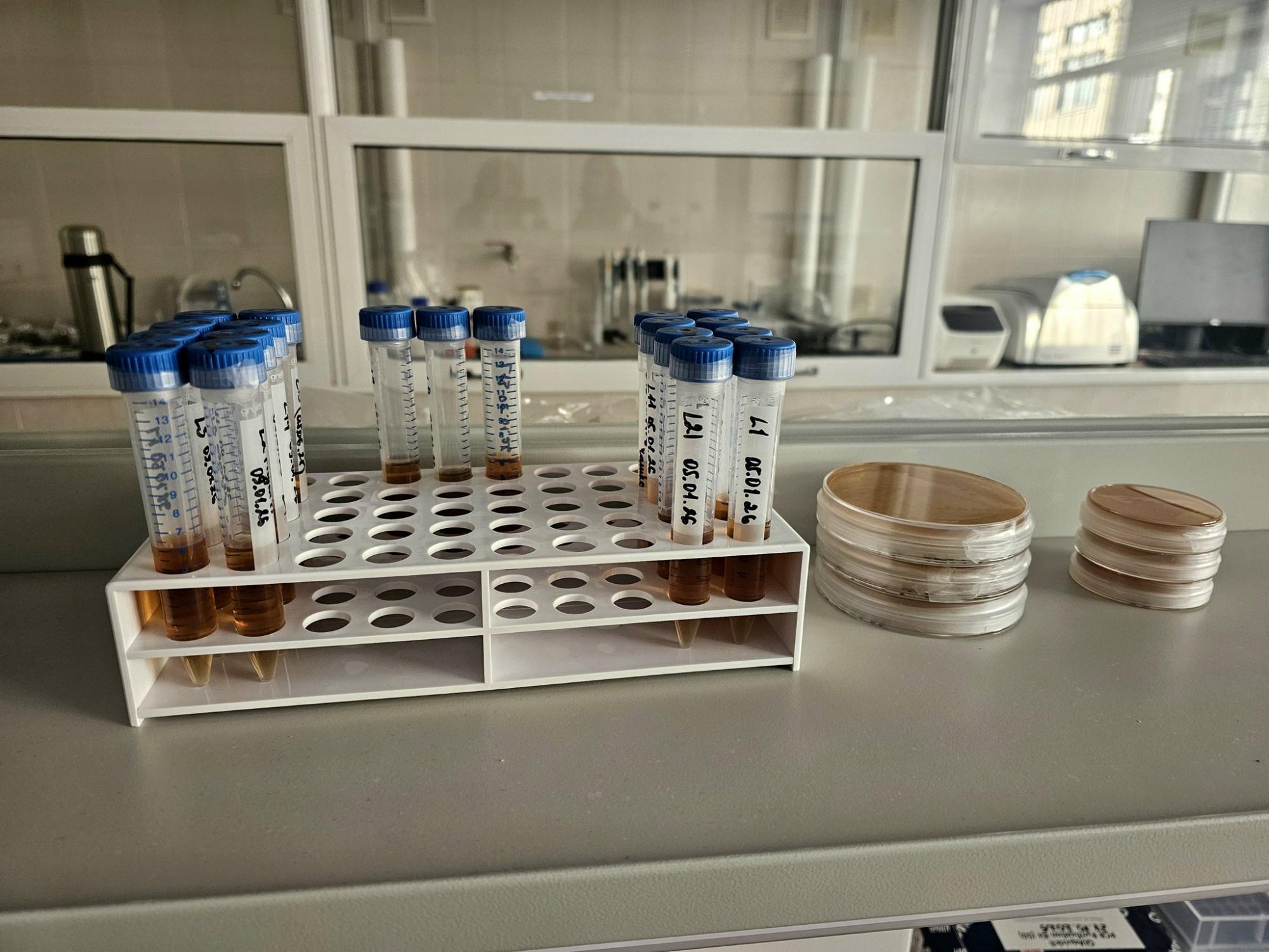 Антарктика поруч: в Україні запрацювала перша лабораторія полярної біології