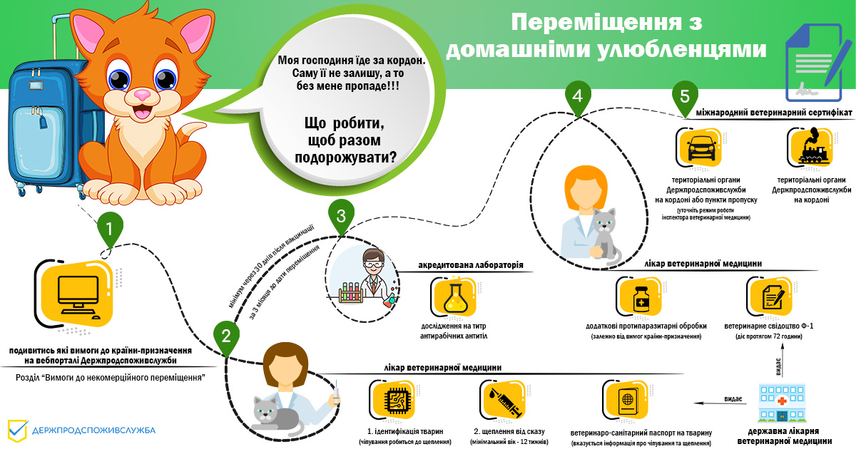 Як виїхати за кордон з домашньою твариною: алгоритм дій