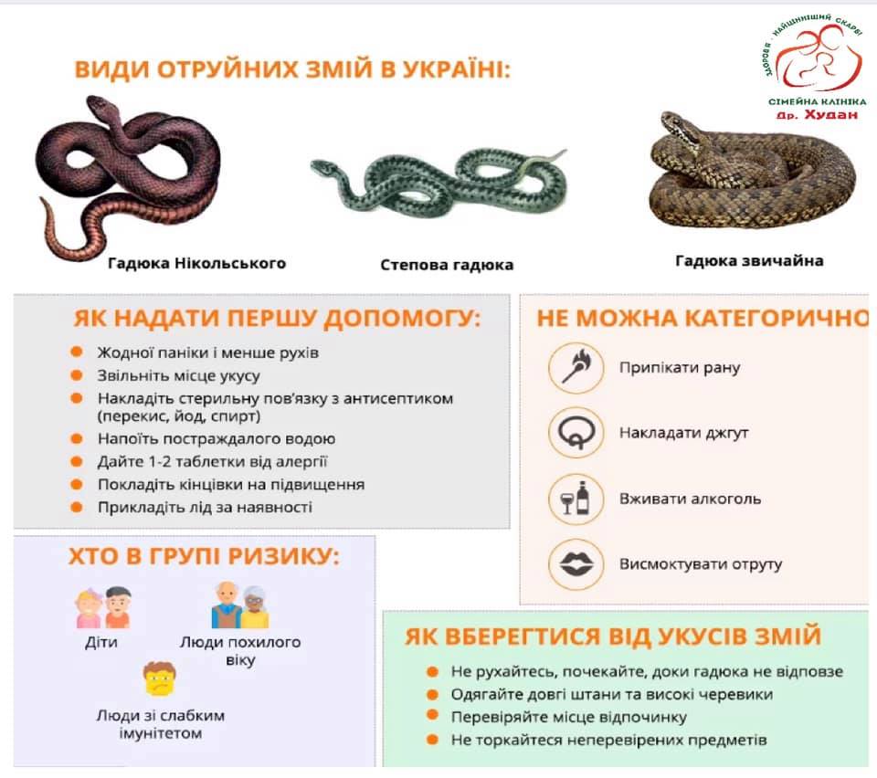 Эти простые советы помогут уберечься от укусов змей