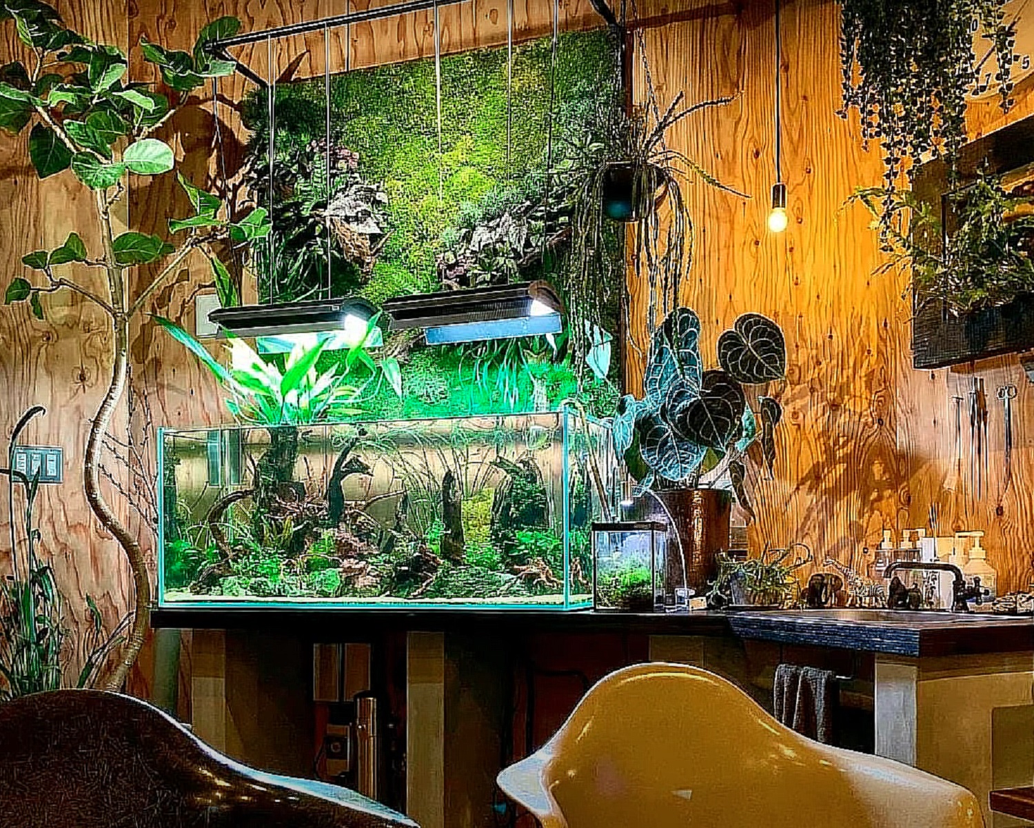 Водна магія. Як зробити акваріум головною прикрасою інтер’єру квартири