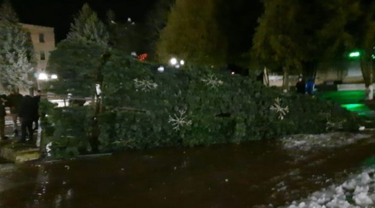 Ураганный ветер повалил новогодние елки в разных городах Украины (видео и фото)
