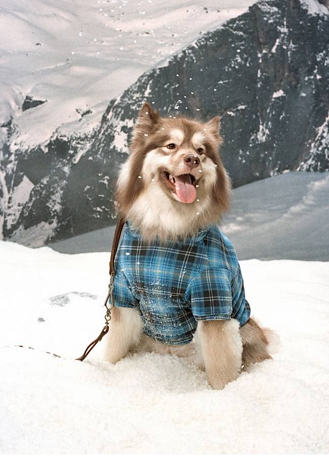 Кім Кардаш’ян презентувала новорічний кампейн у стилі 90-х