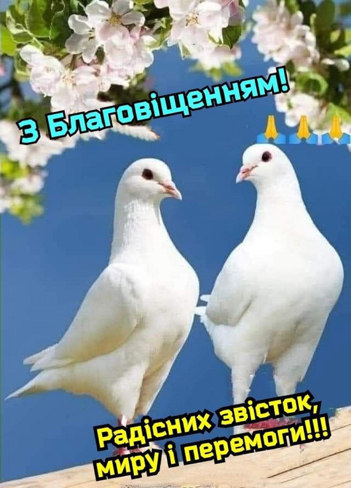 Благовещение 2025: красивые поздравления, стихи и открытки для родных и друзей