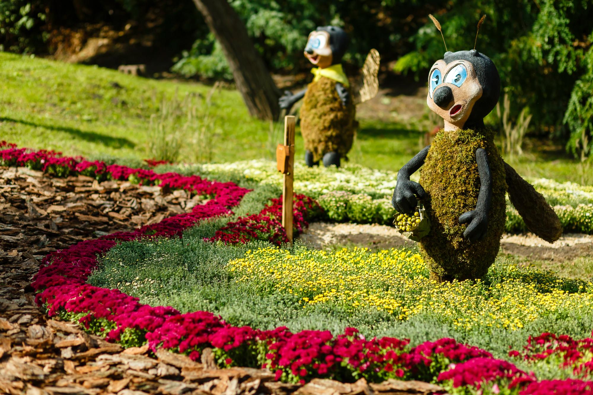 Ідеальний варіант для вихідного! У Києві відкрили неймовірну квіткову виставку: яскраві фото