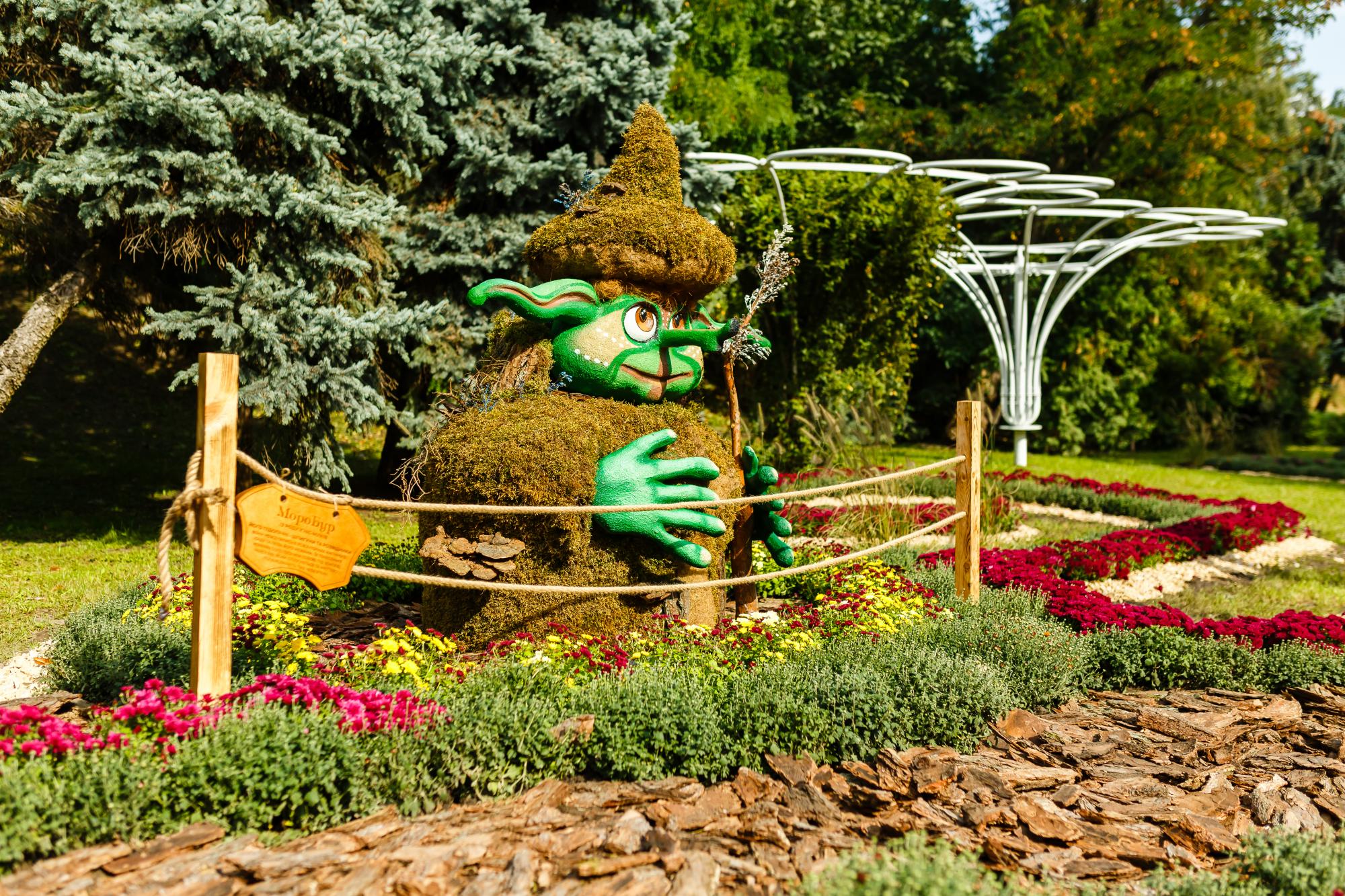 Ідеальний варіант для вихідного! У Києві відкрили неймовірну квіткову виставку: яскраві фото