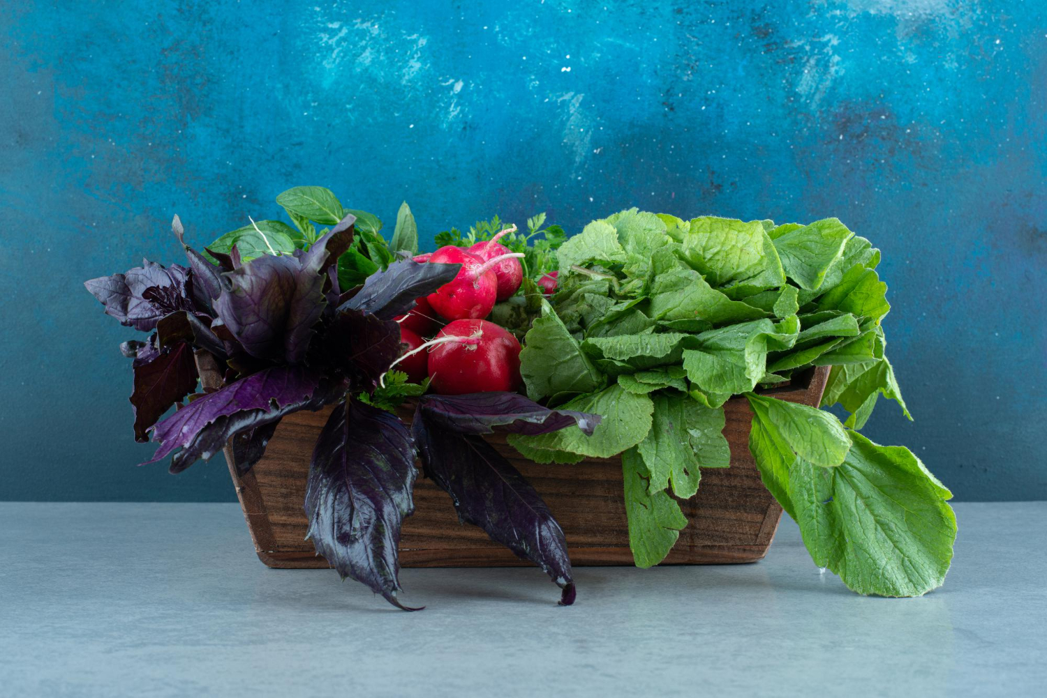 Якщо нема городу: як виростити базилік вдома