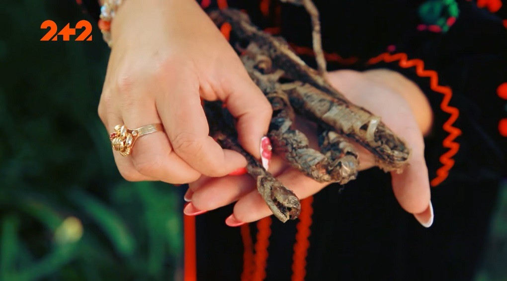 В Карпатах обнаружили неизвестную змею: укус убивает мгновенно (фото)