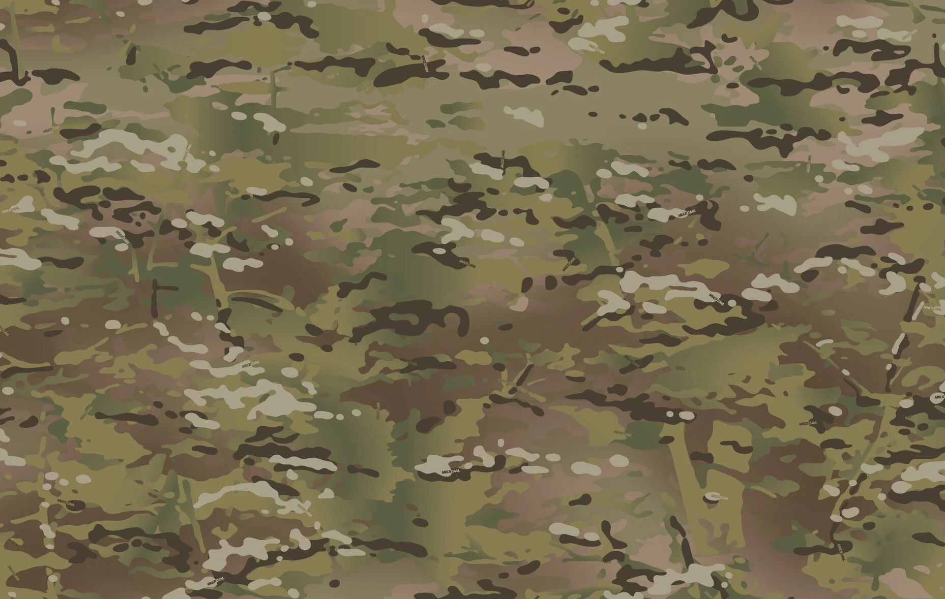 Конец эпохи "пикселя": ВСУ переходят на камуфляж, копирующий Multicam