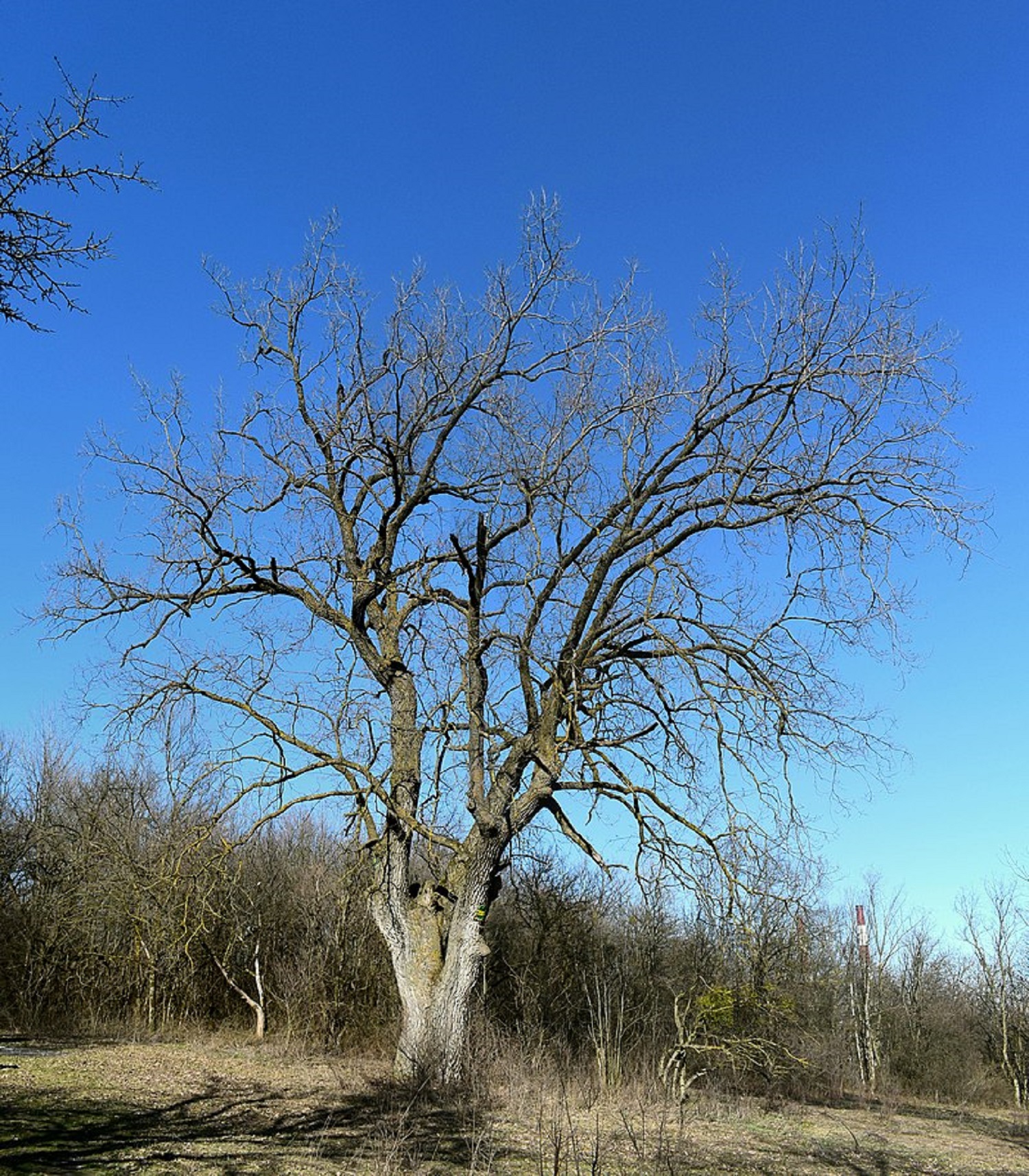 Лысая гора в Киеве: действительно ли здесь бывает нечистая сила?