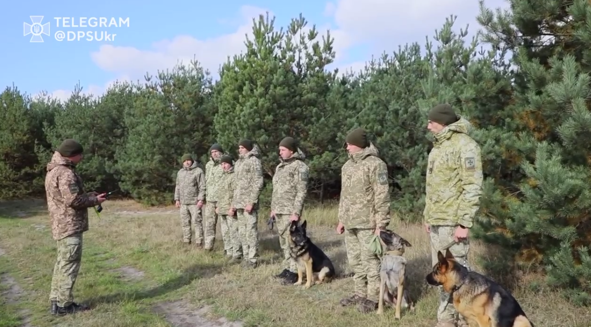 Пес із GPS: в Україні показали, як готують чотирилапих прикордонників (відео)