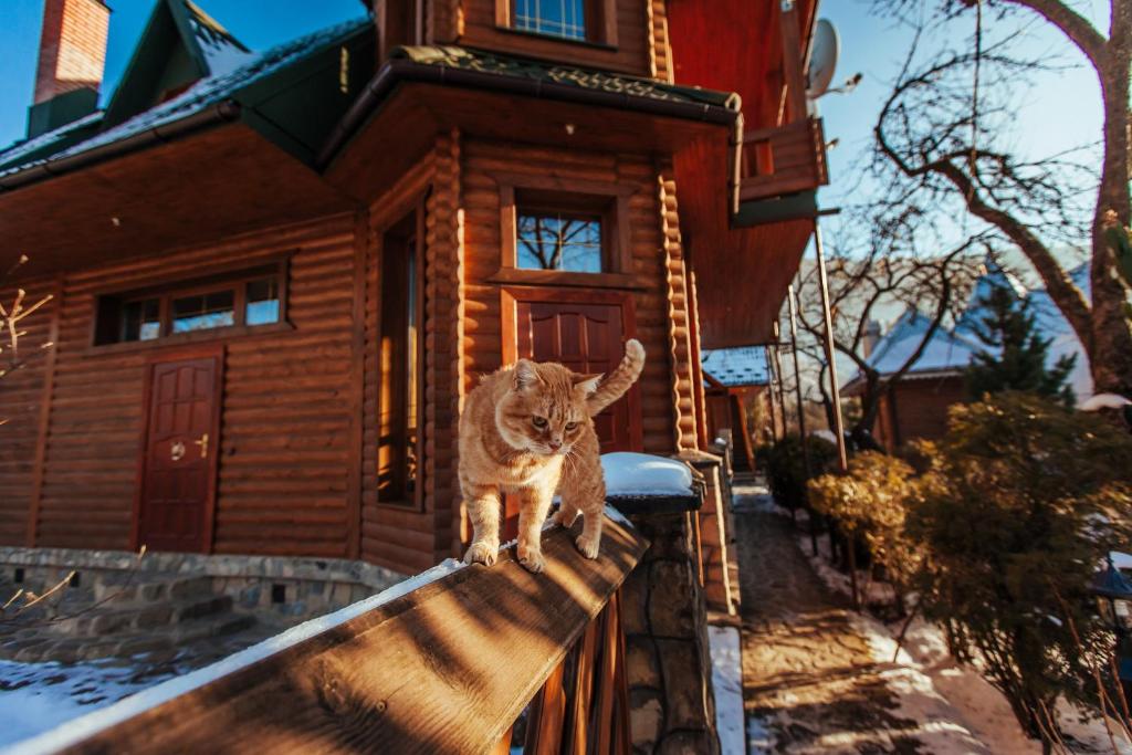 Від 230 гривень. Топ найбюджетніших поїздів до Карпат з різних міст України
