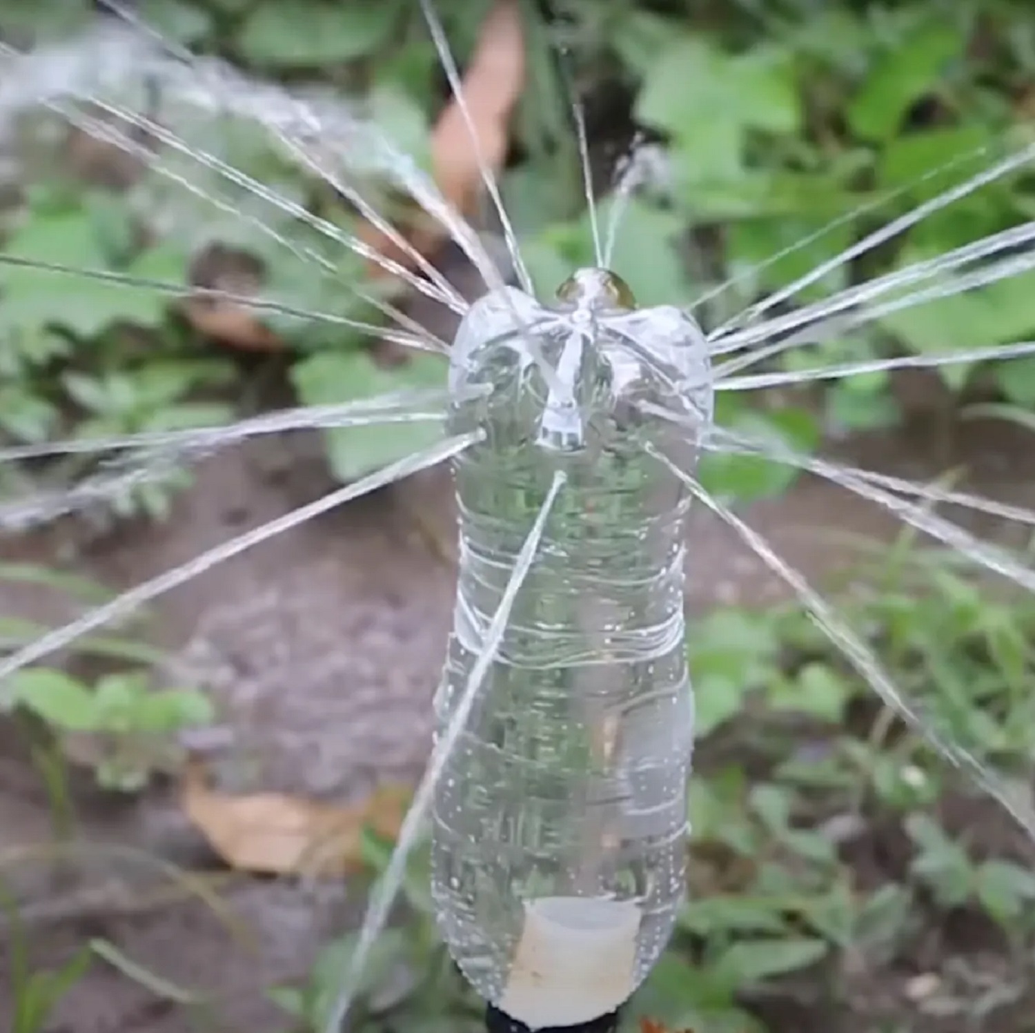 Легко замінять покупні речі: 10 ідей, як зробити з пластикових пляшок корисні предмети