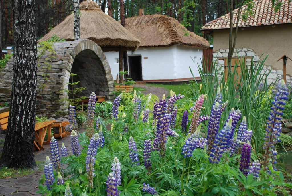 Парки та етнокомплекси. Де недорого відпочити поблизу Києва: яскраві ідеї