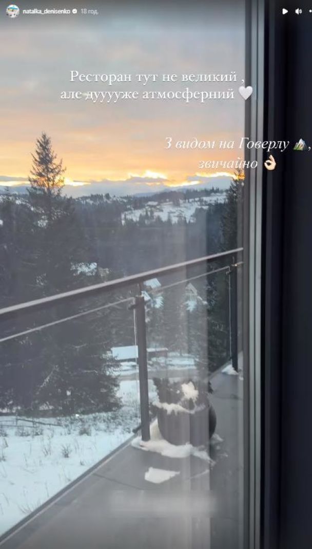 Наталка Денисенко у купальнику блиснула підтягнутою фігурою на тлі зимових Карпат (фото)