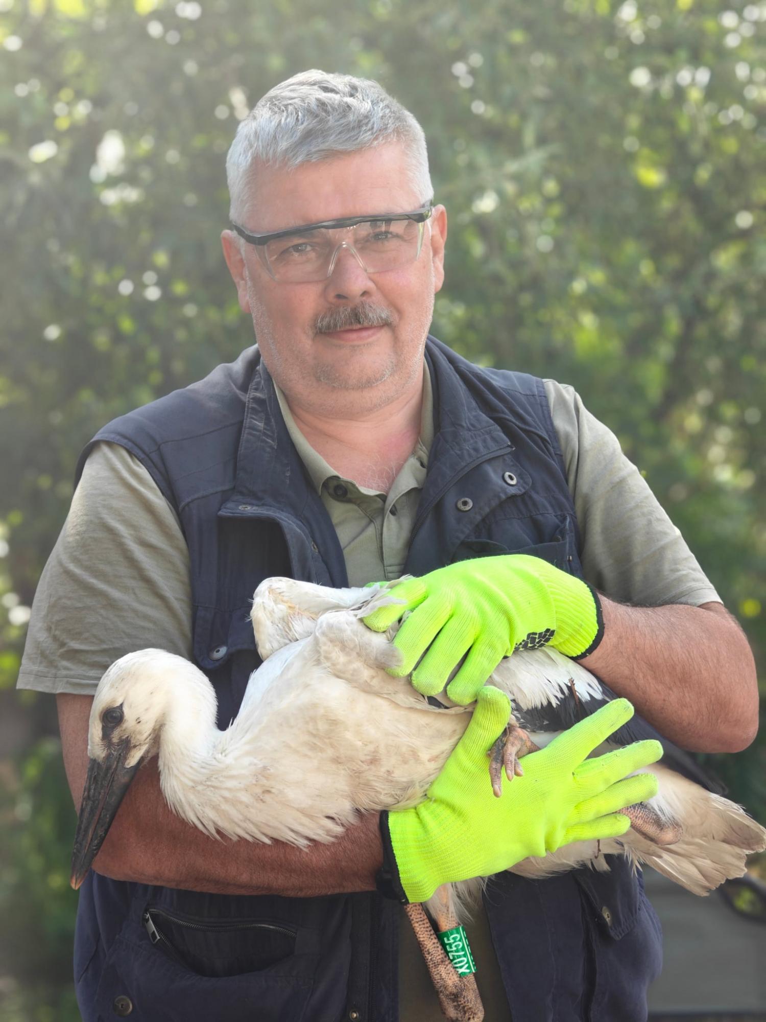 Куди зникають горобці і чому в Україні немає чорних ворон, – інтерв'ю з орнітологом