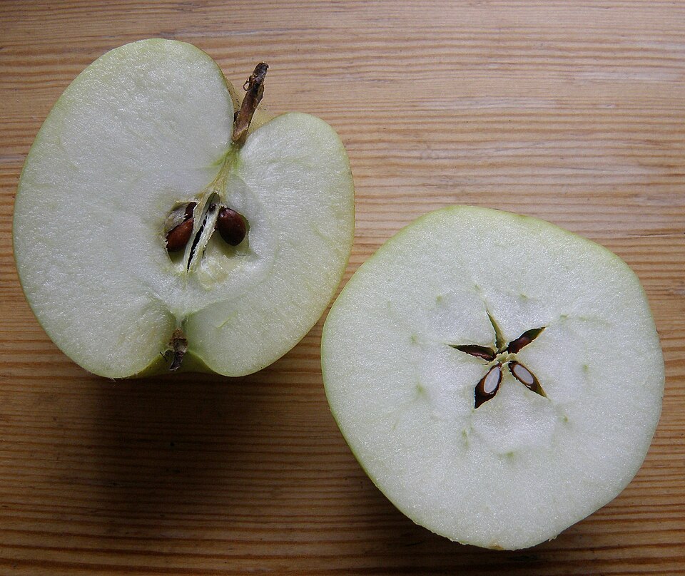 5 найкращих сортів яблук, які варто святити на Яблучний Спас