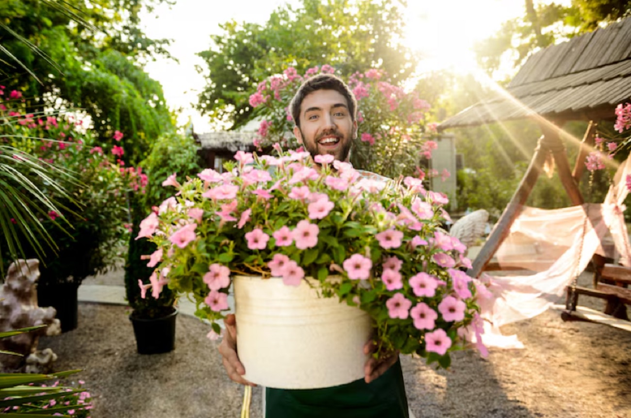 Всі так роблять, а потім шкодують: 8 помилок початківців у вирощуванні квітів і городини