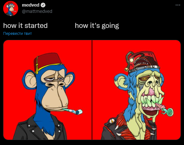 Будущее цифровых активов или "ярмарка тщеславия". Что нужно знать об NFT