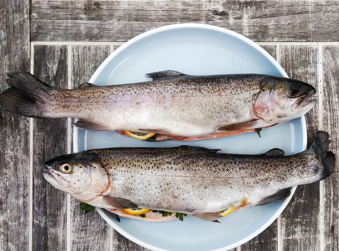 Названы 5 самых полезных рыб, которые нужно есть всем