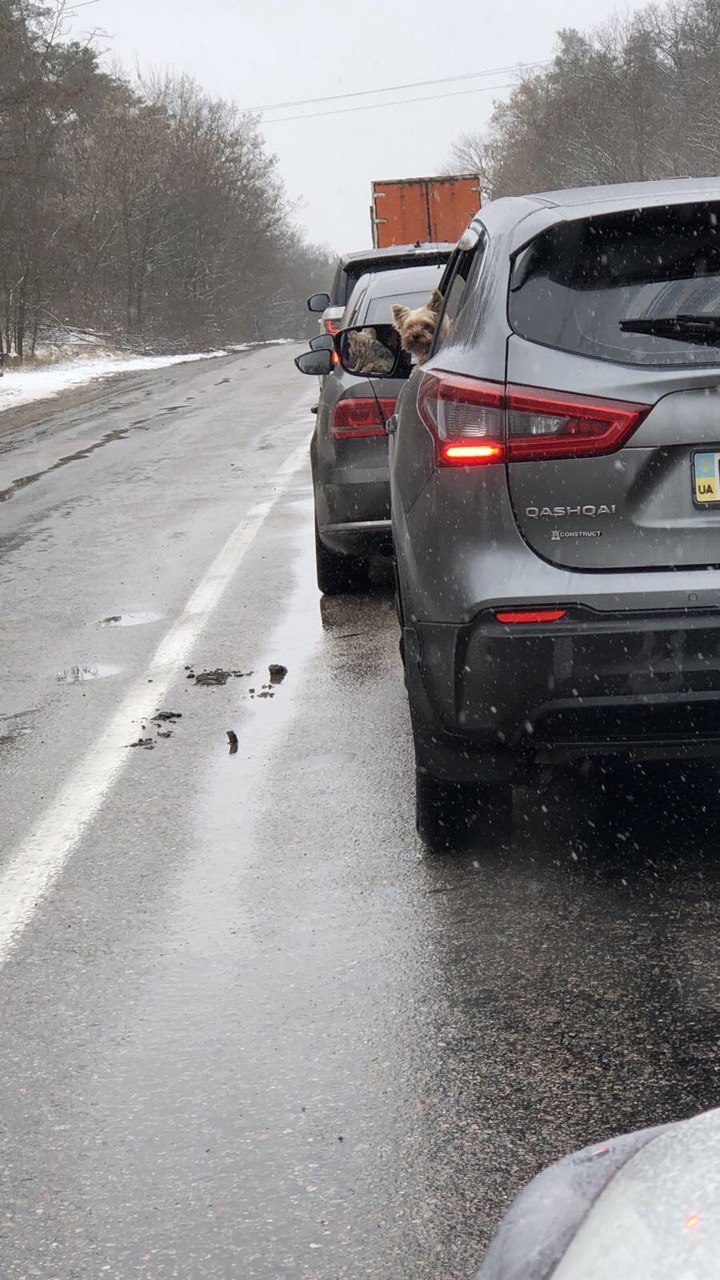 "Вік не має ставити життя на паузу". Як українські пенсіонери стали студентами у Словаччині