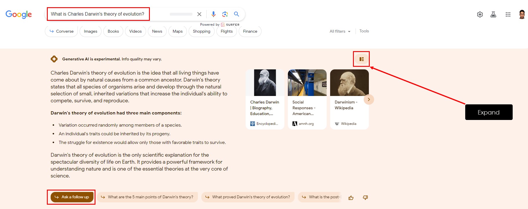 Революція від Google. Що таке генеративний пошук та як він змінить інтернет