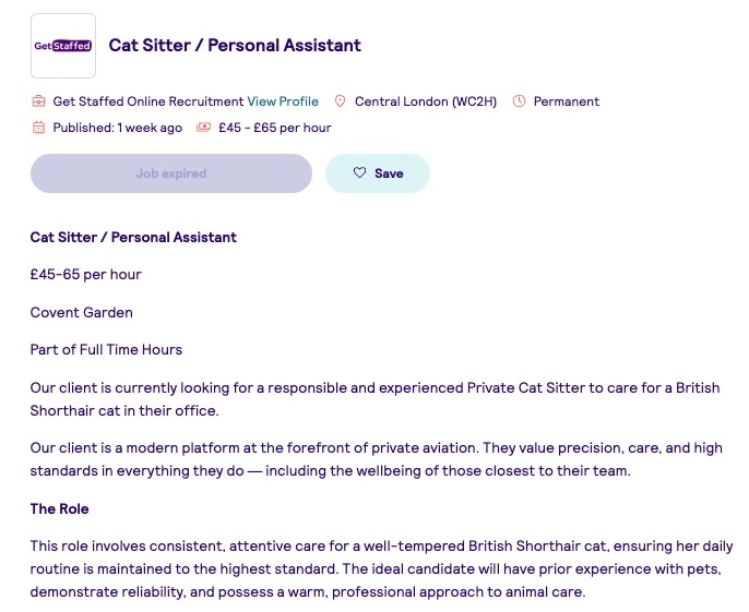 Робота мрії. Чоловік пропонує понад 2 тисячі на годину "няні" для кота: що входить у обов'язки?