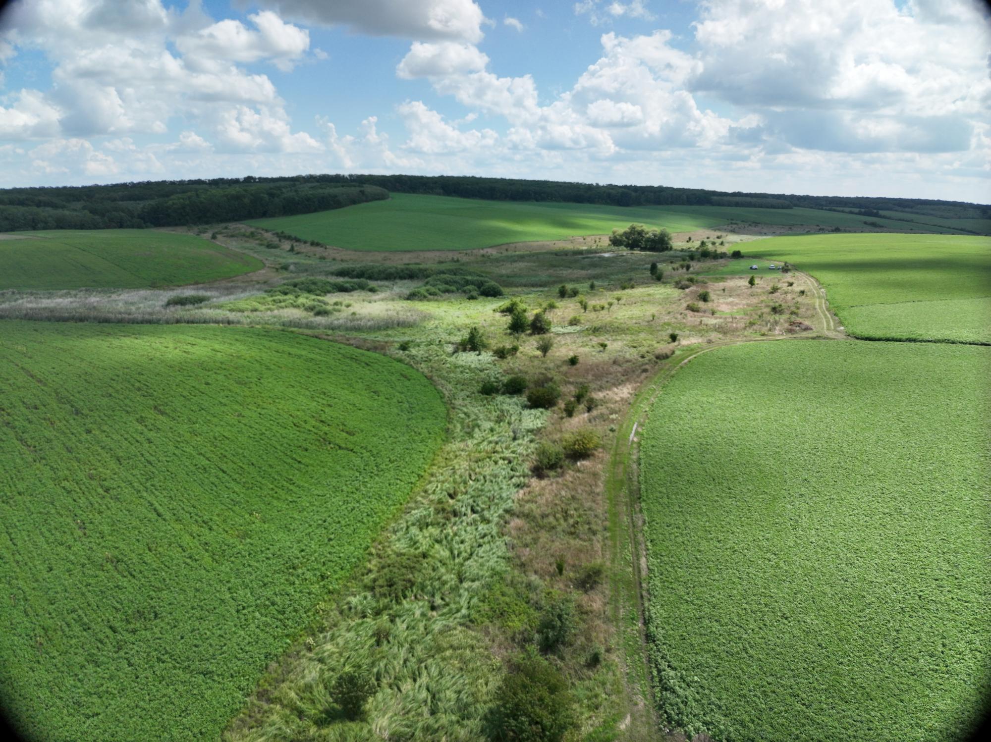 На півдні України річки вже пересихають: гідролог пояснила, чого чекати в майбутньому