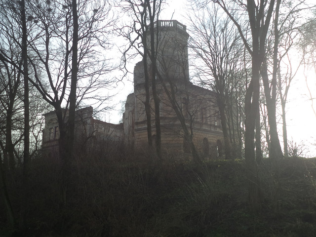 Под Львовом продают уникальный замок XVIII столетия за 1 гривну (фото)