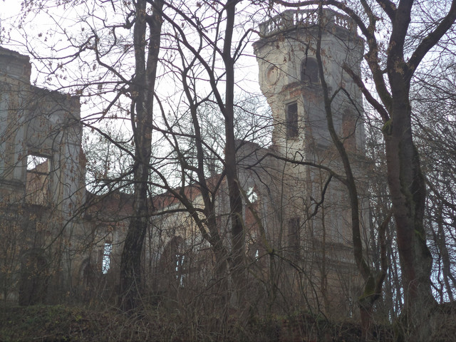 Под Львовом продают уникальный замок XVIII столетия за 1 гривну (фото)