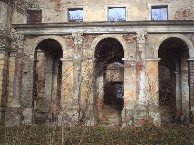 Под Львовом продают уникальный замок XVIII столетия за 1 гривну (фото)